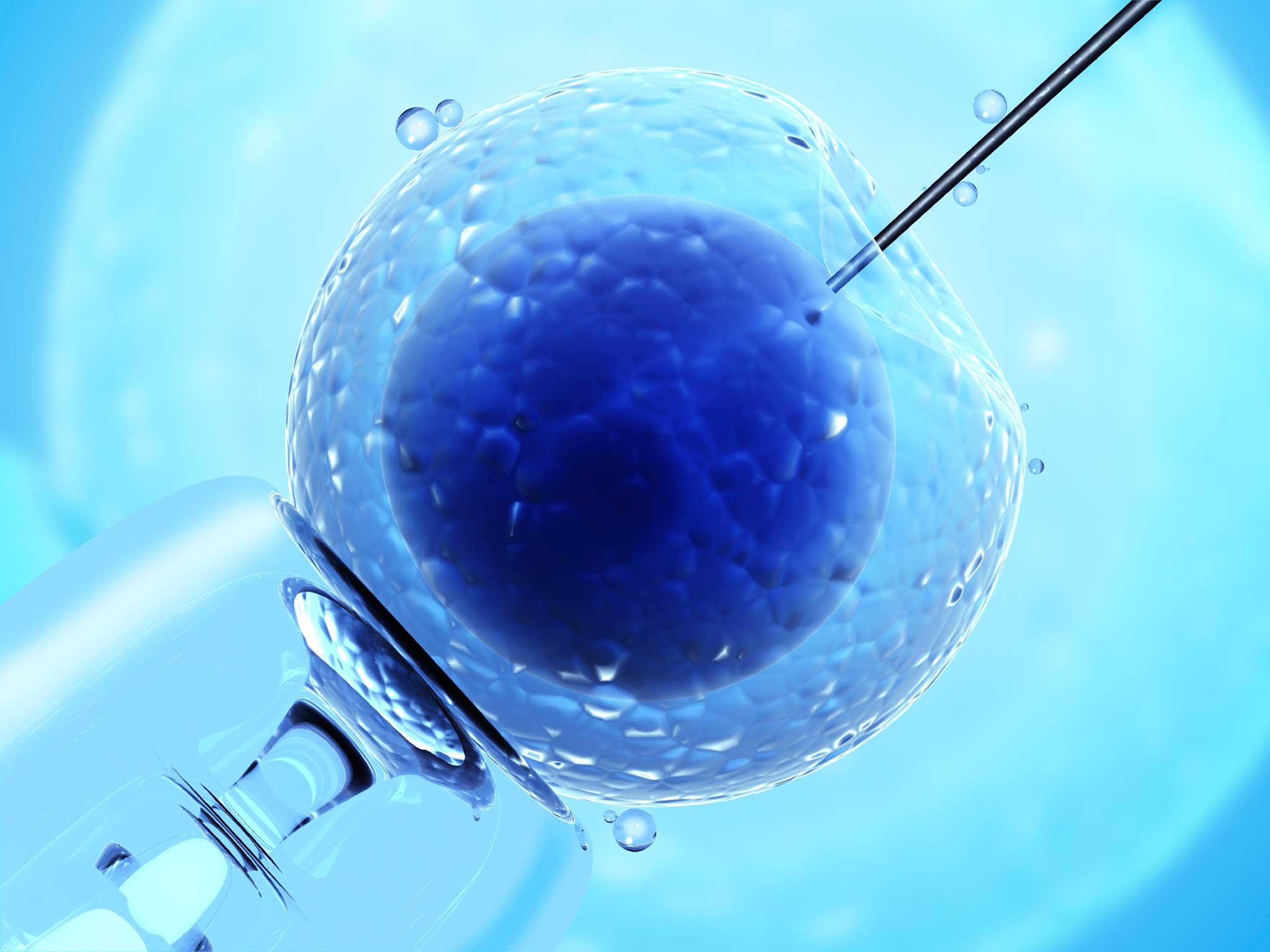 The HFEA said that its latest figures show the “changing landscape” of fertility care in the UK