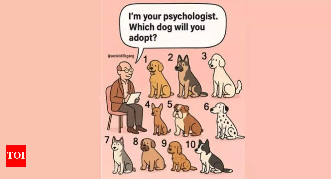 Psychology-based-dog-adoption-test-What-your-favourite-dog-breed-reveals.jpg