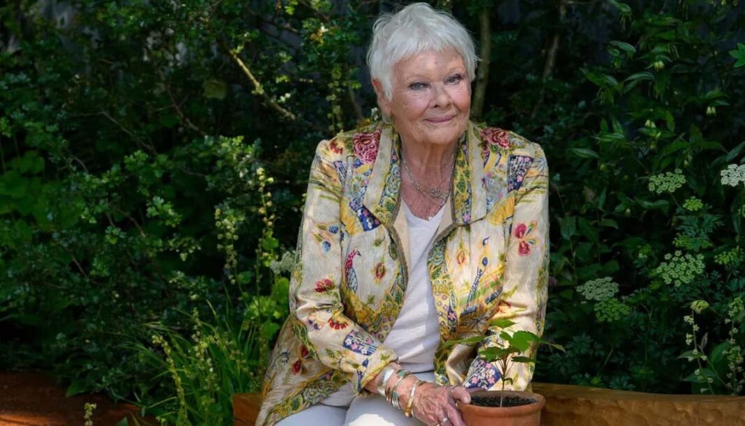 Dame Judi Dench gives heart-breaking health update