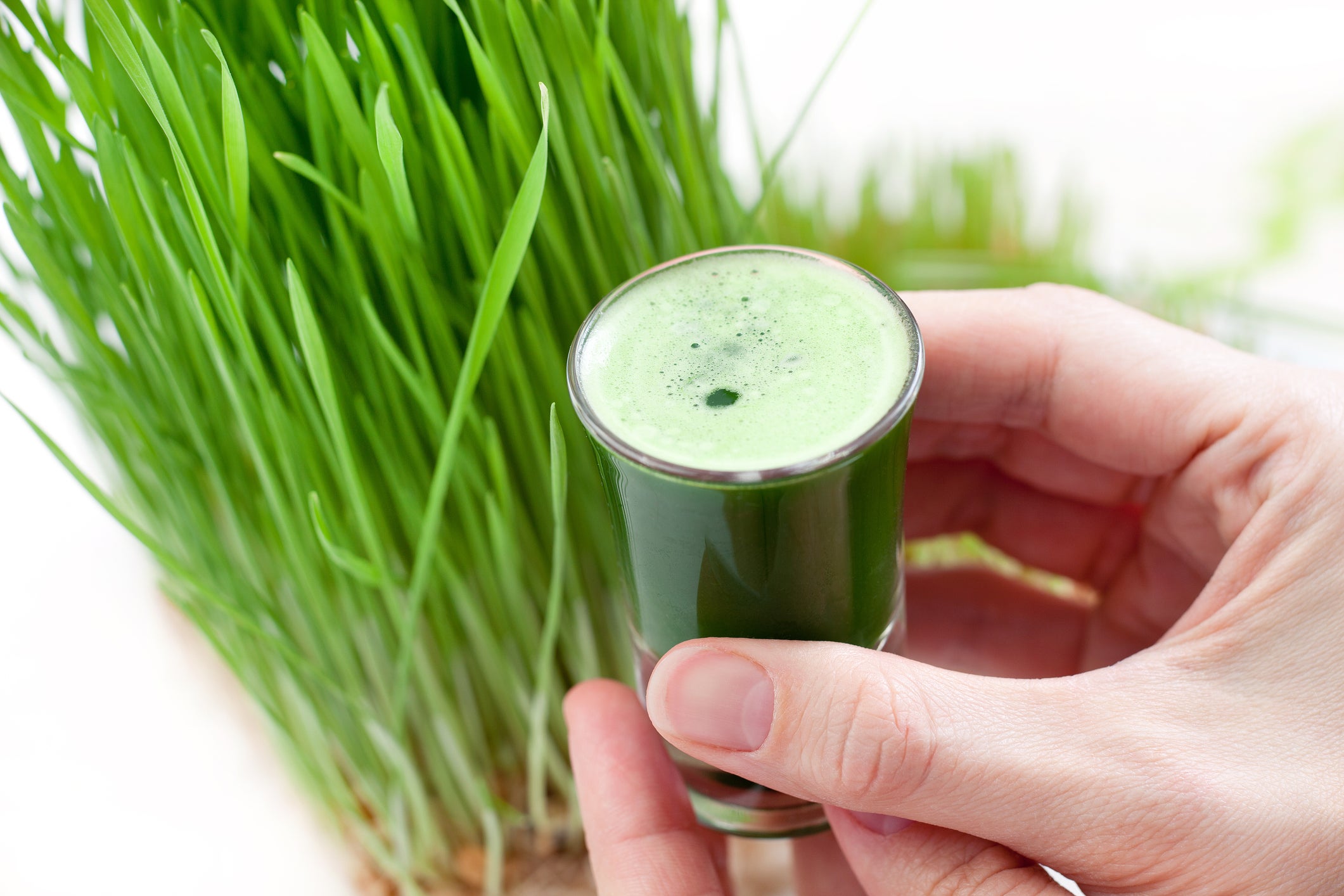Wheatgrass also contains flavonoids, which are plant-based chemicals that play an important role in fighting cancer and boosting immune health