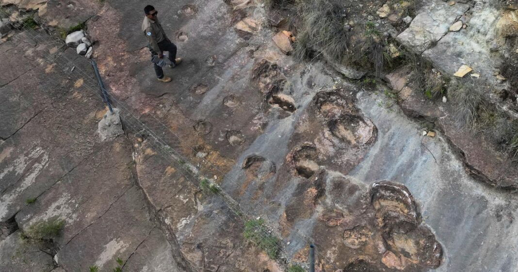 Fossil footprints found in Bolivia reveal dinosaurs’ awkward attempts to swim
